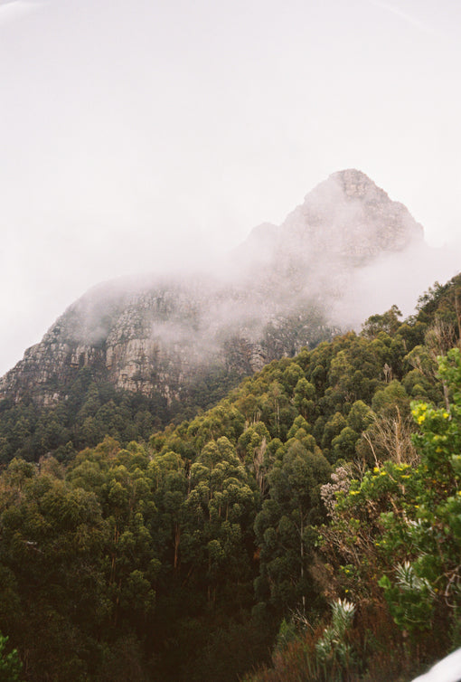 table-mountain-in-the-clouds