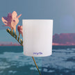Atlantic Sunrise - Scented Candle
