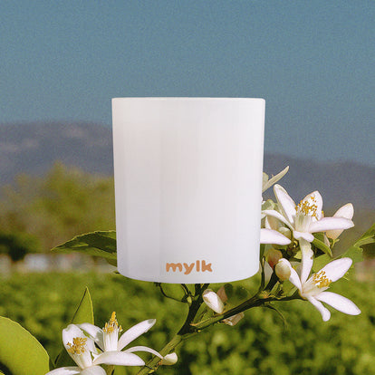 Citrus Route - Scented Candle