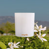 Citrus Route - Scented Candle