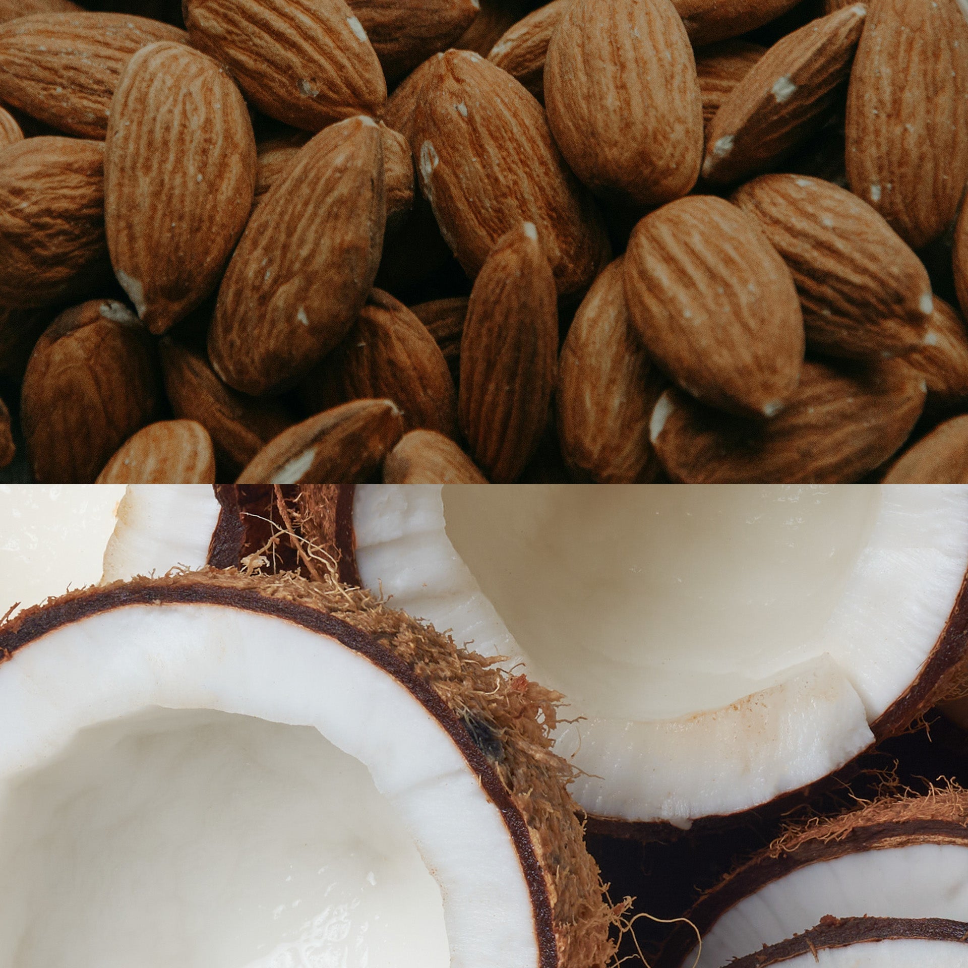 De Coconut - Reed Diffuser